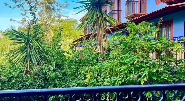 Номер Standard Hotel El Pedregal