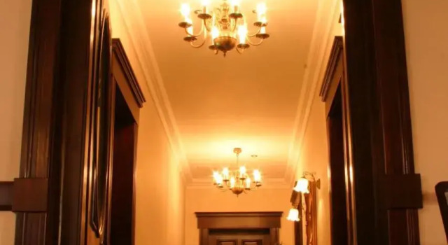 Willa Nestor