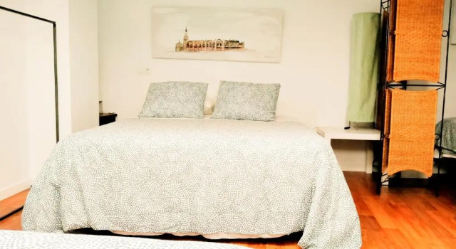 TOLETUM low cost LOFTS duplex diafanos o 2dormitorios PARKING Municipal Gratis al aire libre a 100m