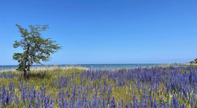 Коттедж 4 Star Holiday Home in Visby