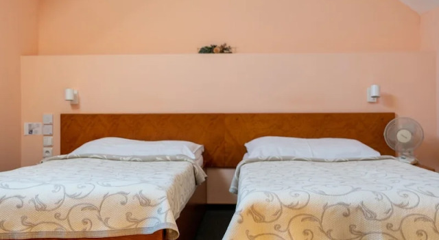 Economy room Hotel Čertousy