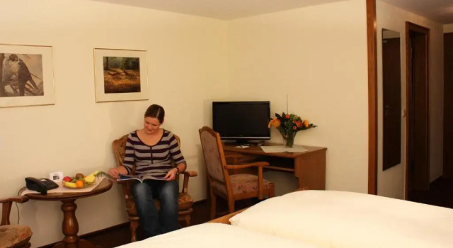 Двухместный номер Standard Hotel Hanses-Bräutigam