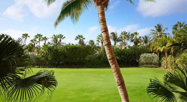 Четырёхместный номер Standard с балконом и с видом на сад The Ritz-Carlton, Grand Cayman