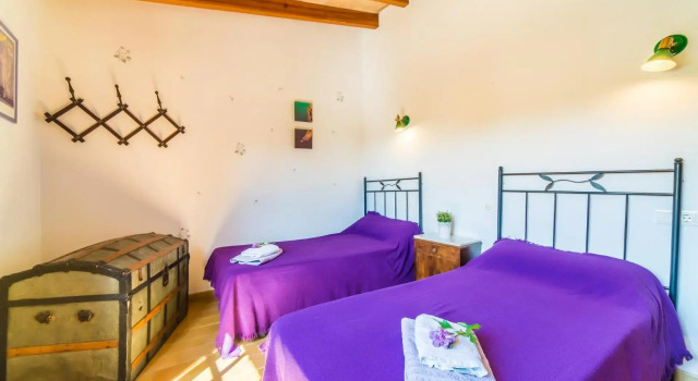 Patufa, Book Hotel Alcudia Majorca