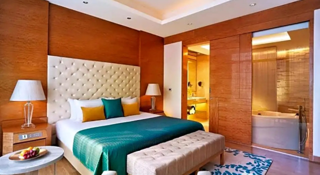 Люкс Taj City Centre Gurugram