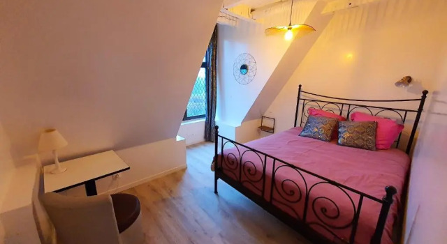 Appartement de 8 chambres avec piscine partagee jardin amenage et wifi a Vernou sur Brenne