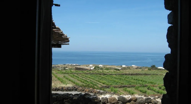 Апартаменты c 1 комнатой Agriturismo Zibibbodoro