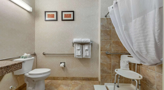 Двухместный люкс Business Comfort Suites Castle Rock - Denver South
