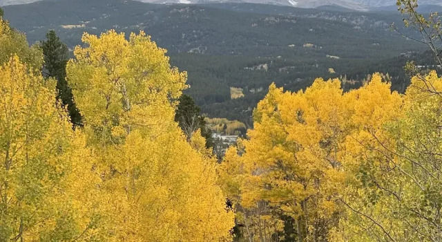 Коттедж Valley View Vistas 3 Bedroom Lodge