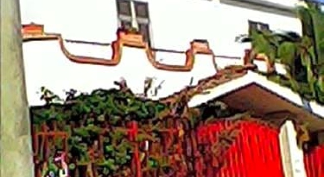 B&B Camelie
