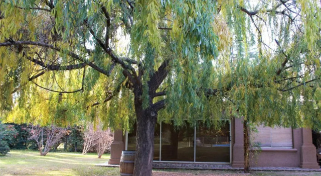 Бунгало Alto Chacras Cottage