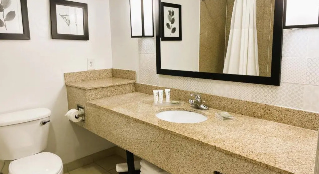 Номер Standard Country Inn & Suites by Radisson, Albany, GA