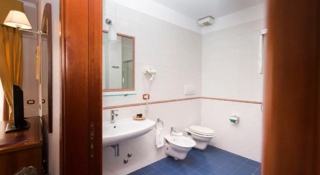Одноместный номер Standard Hotel Cavaliere
