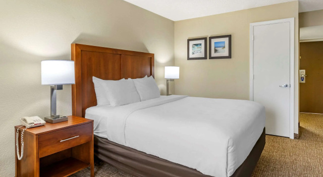 Двухместный номер Standard Comfort Inn & Suites St Pete - Clearwater International Airport