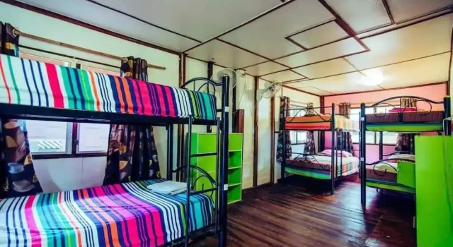 Кровать в общем номере Bananas Bungalows