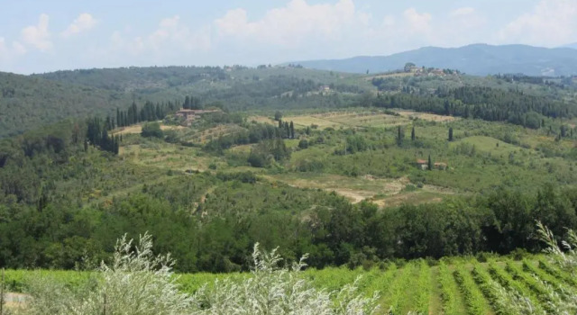 Апартаменты с 3 комнатами Luiano Winery Houses in Chianti