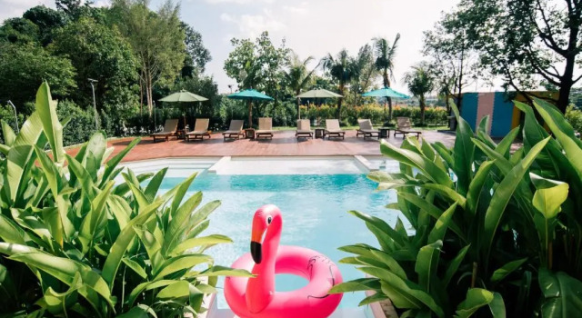 Номер Premier ROYAL PINEAPPLE HOTEL l a welcome to wealth and good fortune