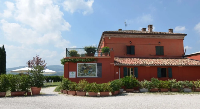 Apartment in Coriano Near Vineyards & Beaches, Buchen Sie Ferienwohnung Coriano 