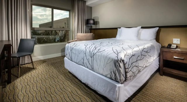 Двухместный номер Standard Hotel Aventura