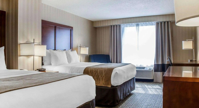 Четырёхместный номер Standard Comfort Inn & Suites Sturbridge-Brimfield