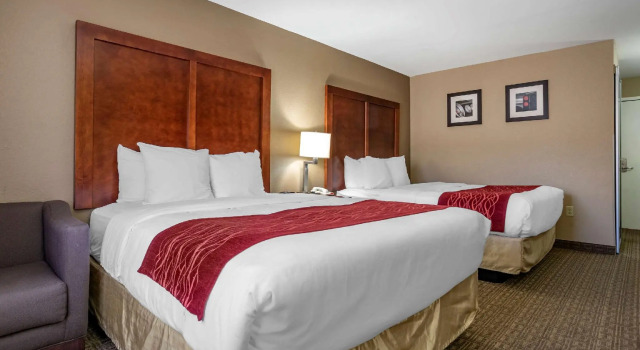 Четырёхместный номер Standard Comfort Inn & Suites Leeds I-20