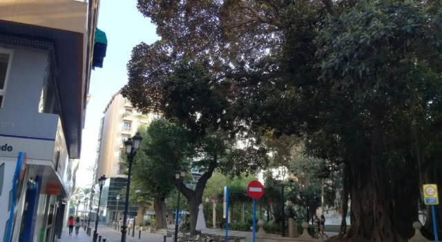 Calle Manero Mollá, 16, 6-3
