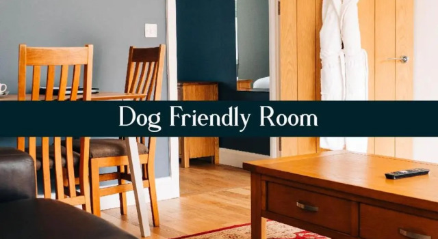 Студия Bryn Berwyn Country House Tresaith