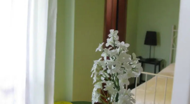 Volpino, Rezervovat Hotel Porto Recanati 