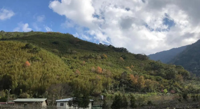 Yeheng Terrace Homestay, Rezervați Apartament Sanguang Fuxing District