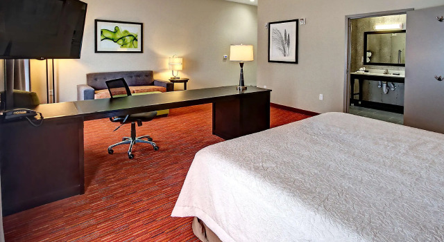 Двухместная студия Hampton Inn and Suites Ada