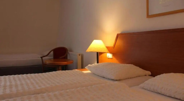 Трёхместный номер Standard Hotel Alpina