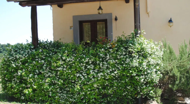 Agriturismo Tenuta Serpepe, Varaa Hotelli Marta 
