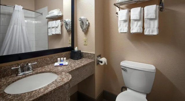 Люкс Best Western Plus Kalamazoo Suites