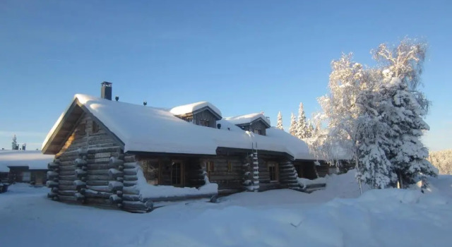 Коттедж c 1 комнатой Lost Inn Cabins