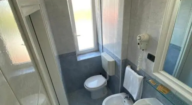 Двухместный номер Standard с балконом HOTEL DANNUNZIO