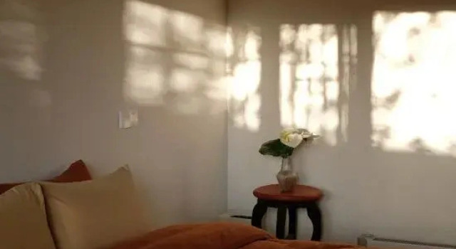 Люкс Shaxi Ancient Town Yanshe Homestay