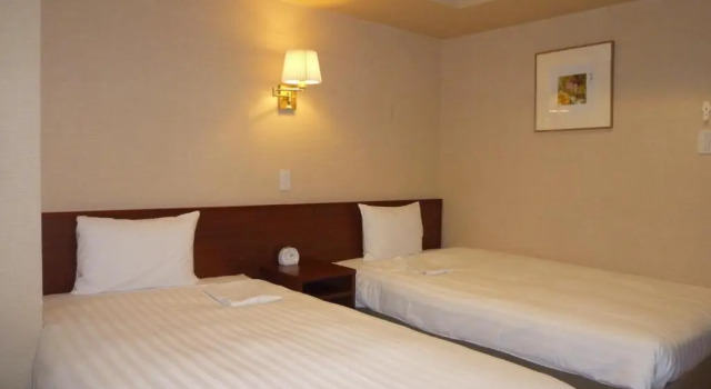Двухместный номер Smile Hotel Namba