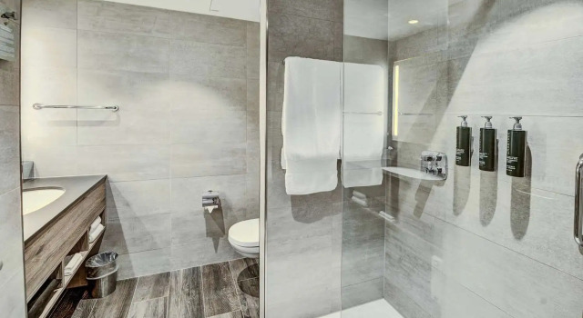 Номер Standard Hilton Garden Inn Wiener Neustadt