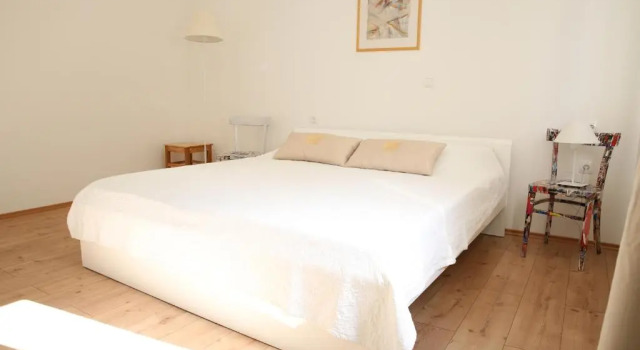 Апартаменты c 1 комнатой Apartment Udovičić