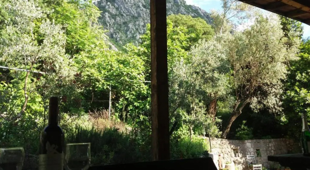 Апартаменты с 2 комнатами Apartments in Rustic House