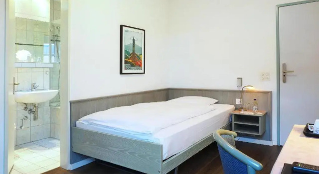 Одноместный номер Standard Sommerau-Ticino Swiss Quality Hotel