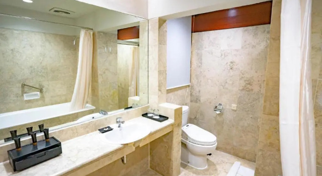 Полулюкс Hotel Savoy Homann