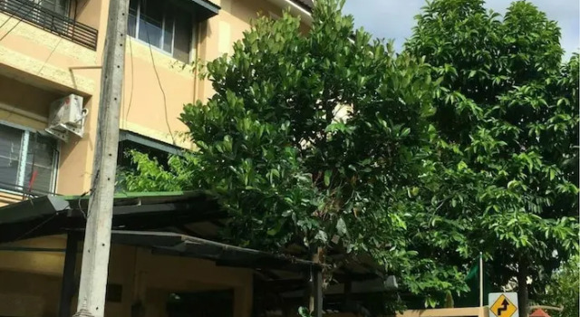 Kanoon Hostel Chiangmai