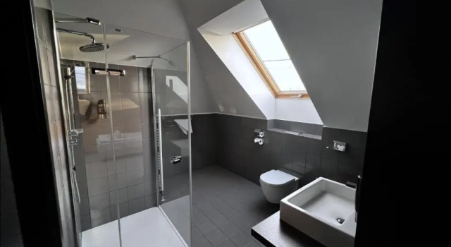 Четырёхместный номер Standard Hotel Žabčice