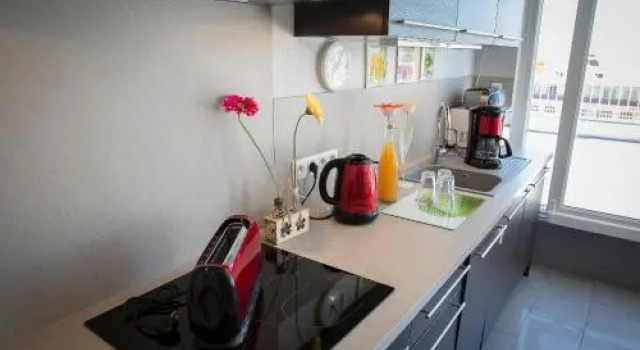 En attique - Residence le Ronsard, Buchen Sie Ferienwohnung Sélestat Bas-Rhin