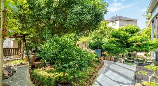 Tonglu Yirou Courtyard Homestay (OMG Heartbeat Paradise)