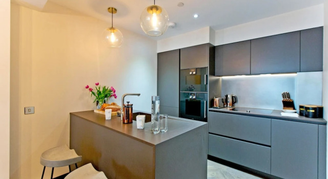 Apartament 1-bed Executive Apt 310