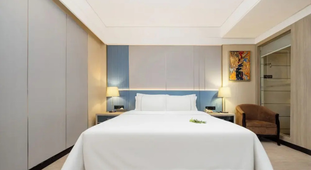 Номер Comfort Manli Hotel