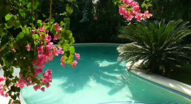 Вилла Charming Caribbean Style Villa Near Superb Beach