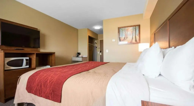 Номер Standard Comfort Inn & Suites
